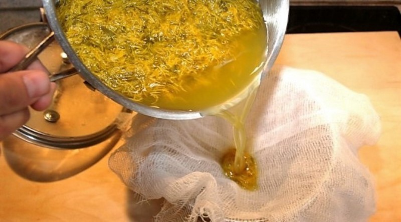 Вот почему наши бабушки обожают ромашковый чай: 15 целебных свойств