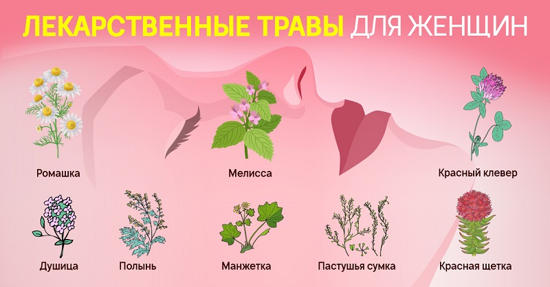 8 лекарственных трав для женщин: без всякой химии сохраняют молодость и здоровье.