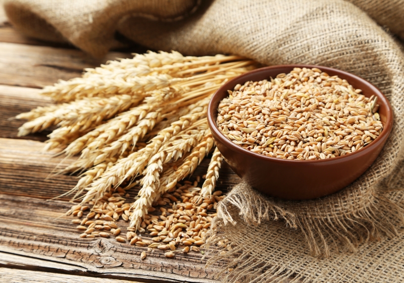 Кардиолог Уильям Дэвис: «Пшеница сегодня — хроническая отрава. Оставь эту булку, дорогая!»