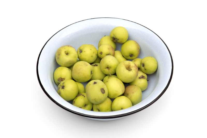 Моченые яблоки в банках, идеальный рецепт! Думала, яблок вкуснее свежих не бывает, пока не попробовала моченые.