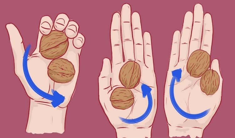 Зачем нужно делать массаж ладони грецкими орехами