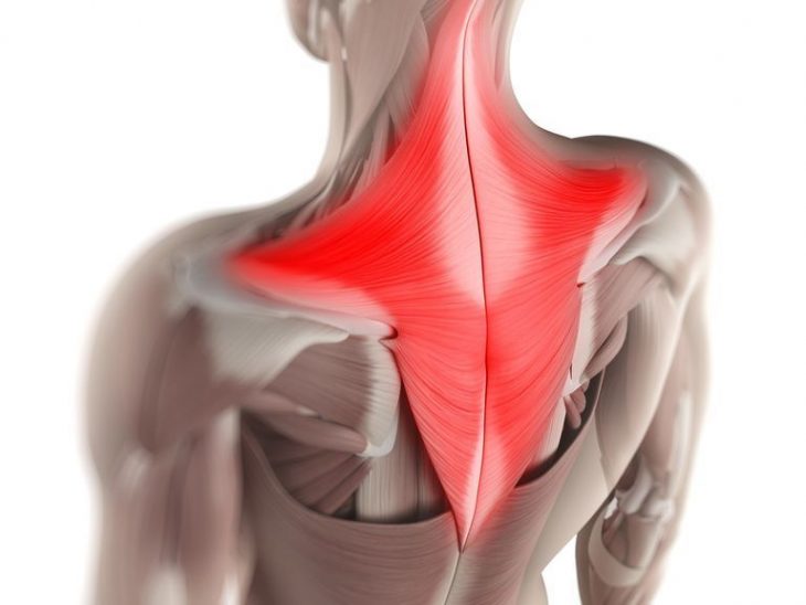 Мышечные зажимы шеи и спины: снятие боли изменением позы